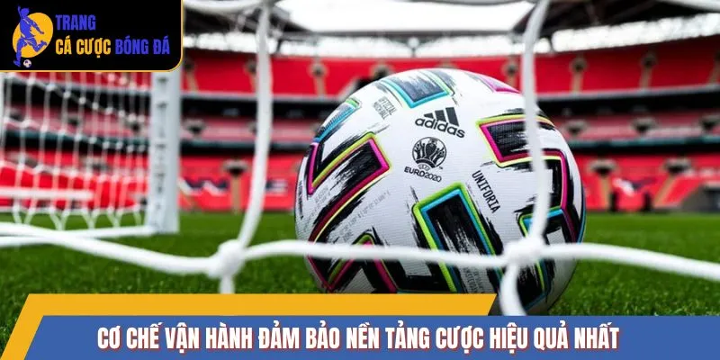 Cơ chế vận hành đảm bảo nền tảng cược hiệu quả nhất